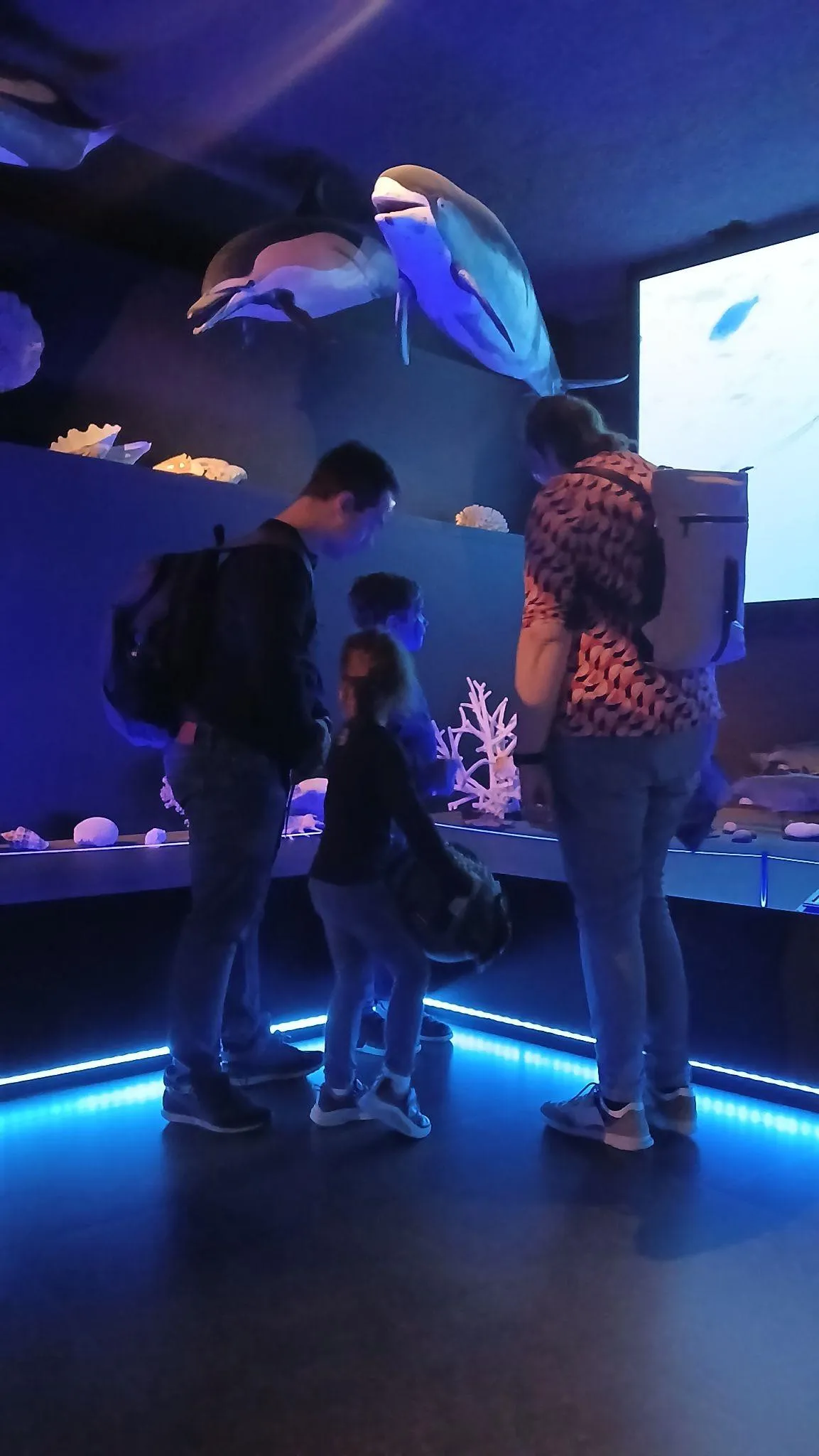 Children exploring an ocean-themed museum hall